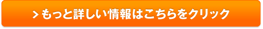 バナナWiFi販売サイトへ